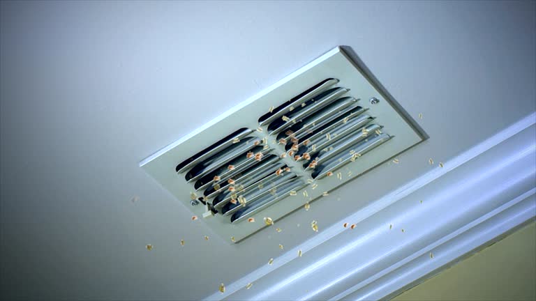 Best Affordable HVAC Duct Cleaning  in Laredo, TX