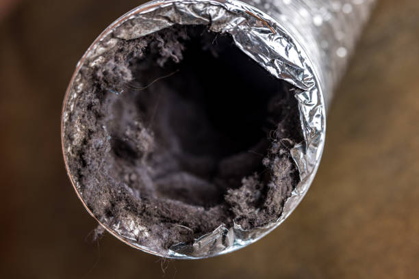 Best Air Duct Cleaning Near Me in Laredo, TX